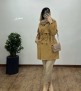 بارونی-آستردار-بهدخت